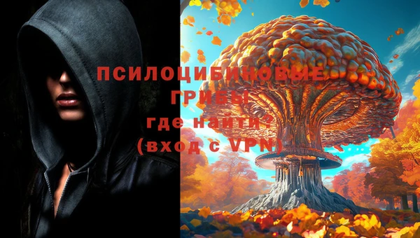 mdma Белокуриха
